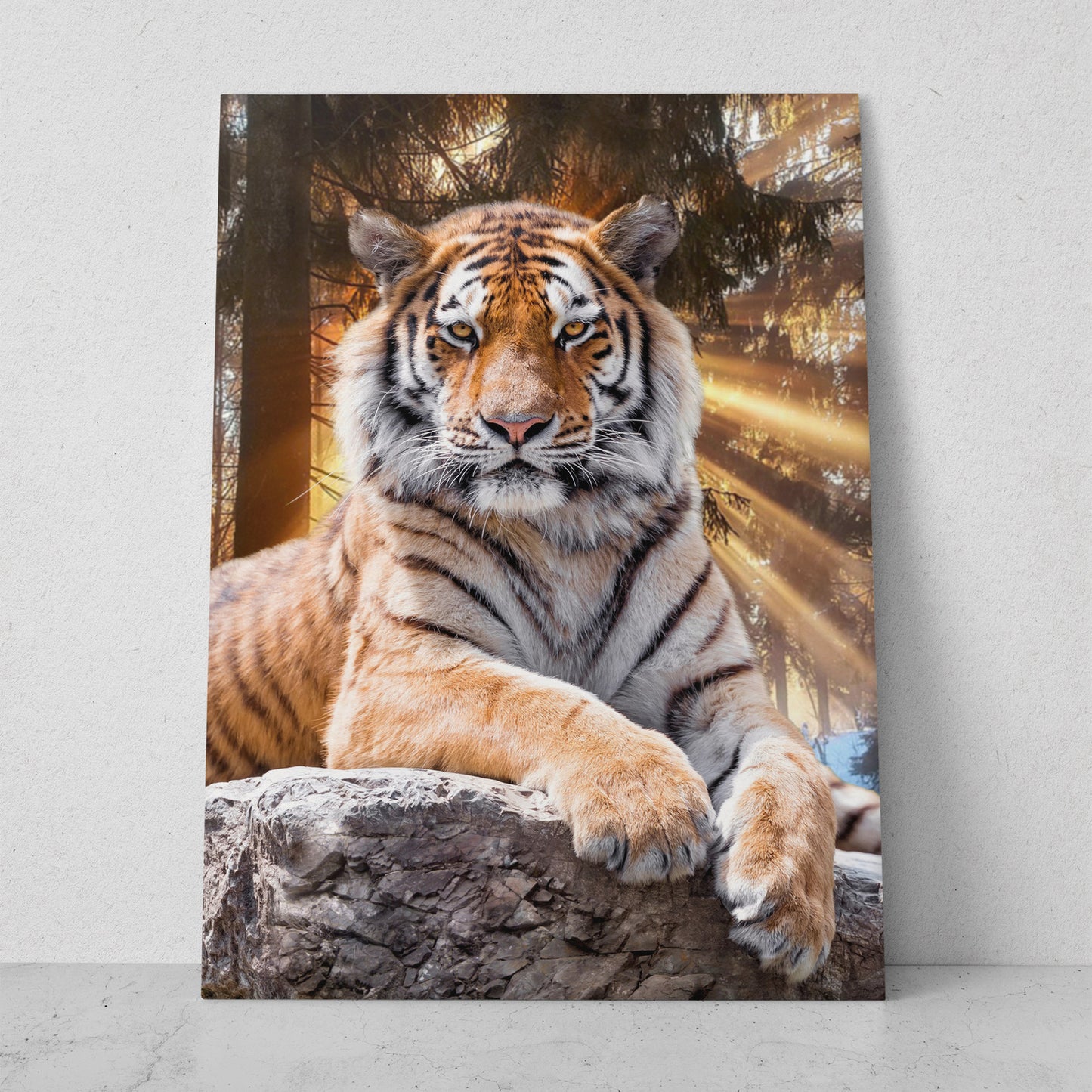 Tigre descansando en el atardecer (Vertical) #AN20_05