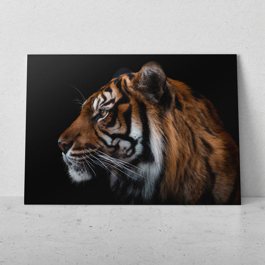 Tigre perfil izquierdo (Horizontal) #AN20_16