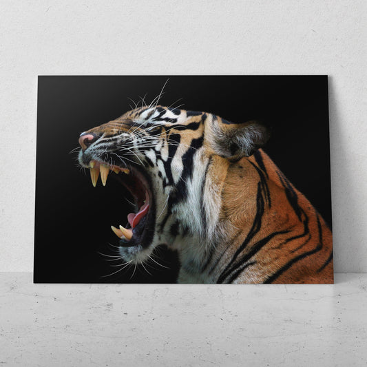 Tigre rugiendo (Horizontal) #AN20_18
