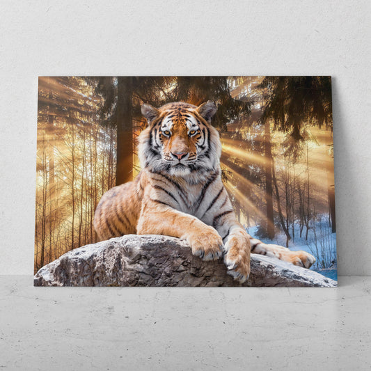 Tigre posando al atardecer (Horizontal) #AN20_27