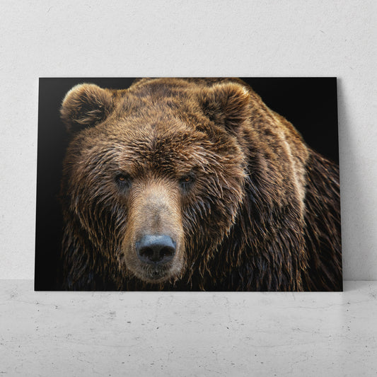 Retrato oso café (Horizontal) #AN21_12