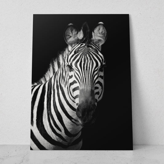 Retrato de Cebra (Vertical) #AN23_01