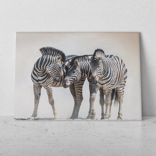 Familia de cebras (Horizontal) #AN23_06