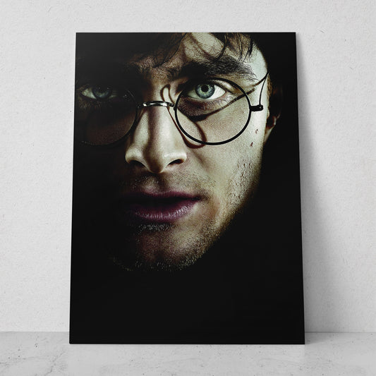 Harry Potter (Vertical) #FM18_17