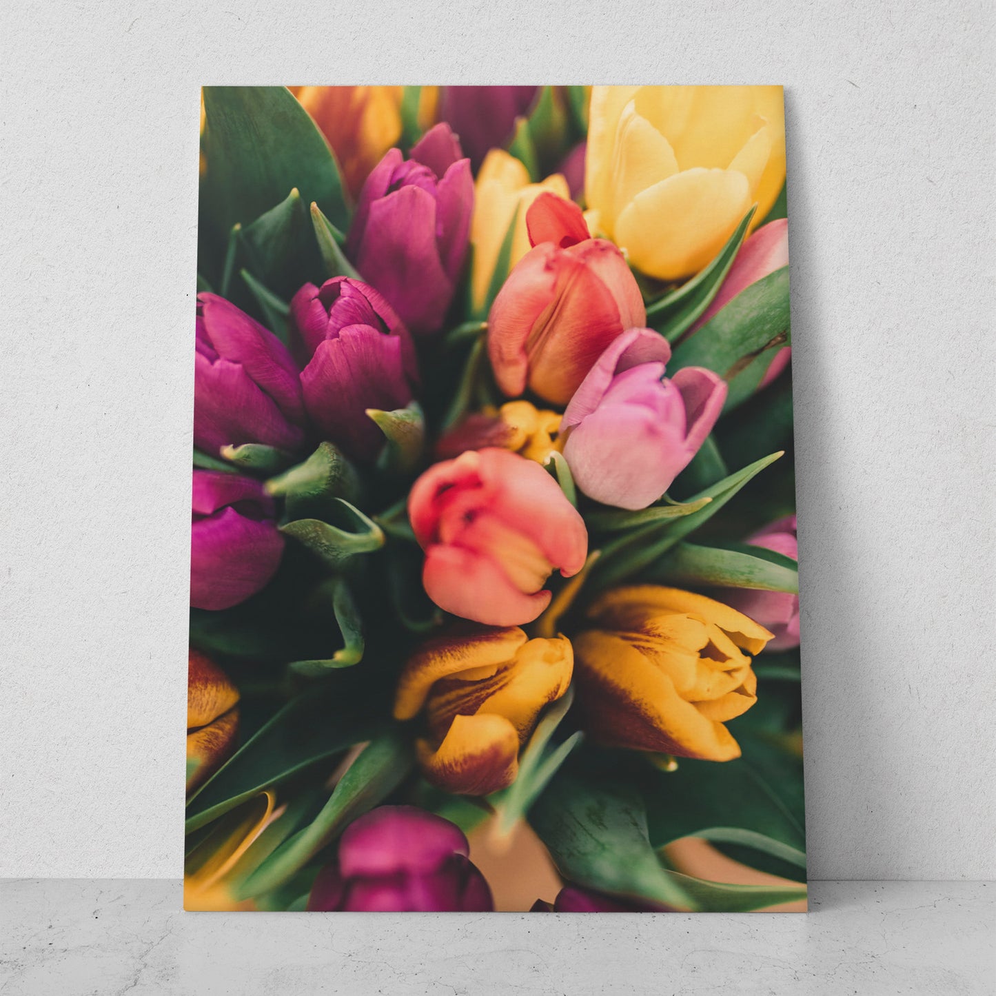 Tulipanes de colores (Vertical) #FP_005