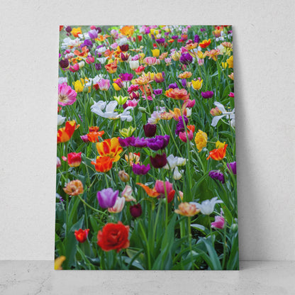 Campo de tulipanes (Vertical) #FP_006