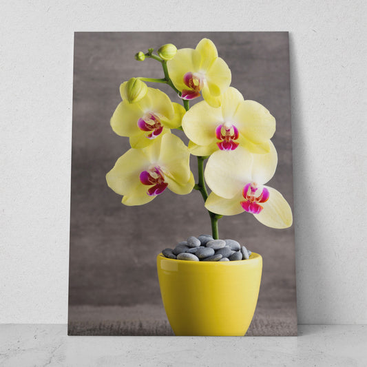 Orquídea amarilla (Vertical) #FP_009