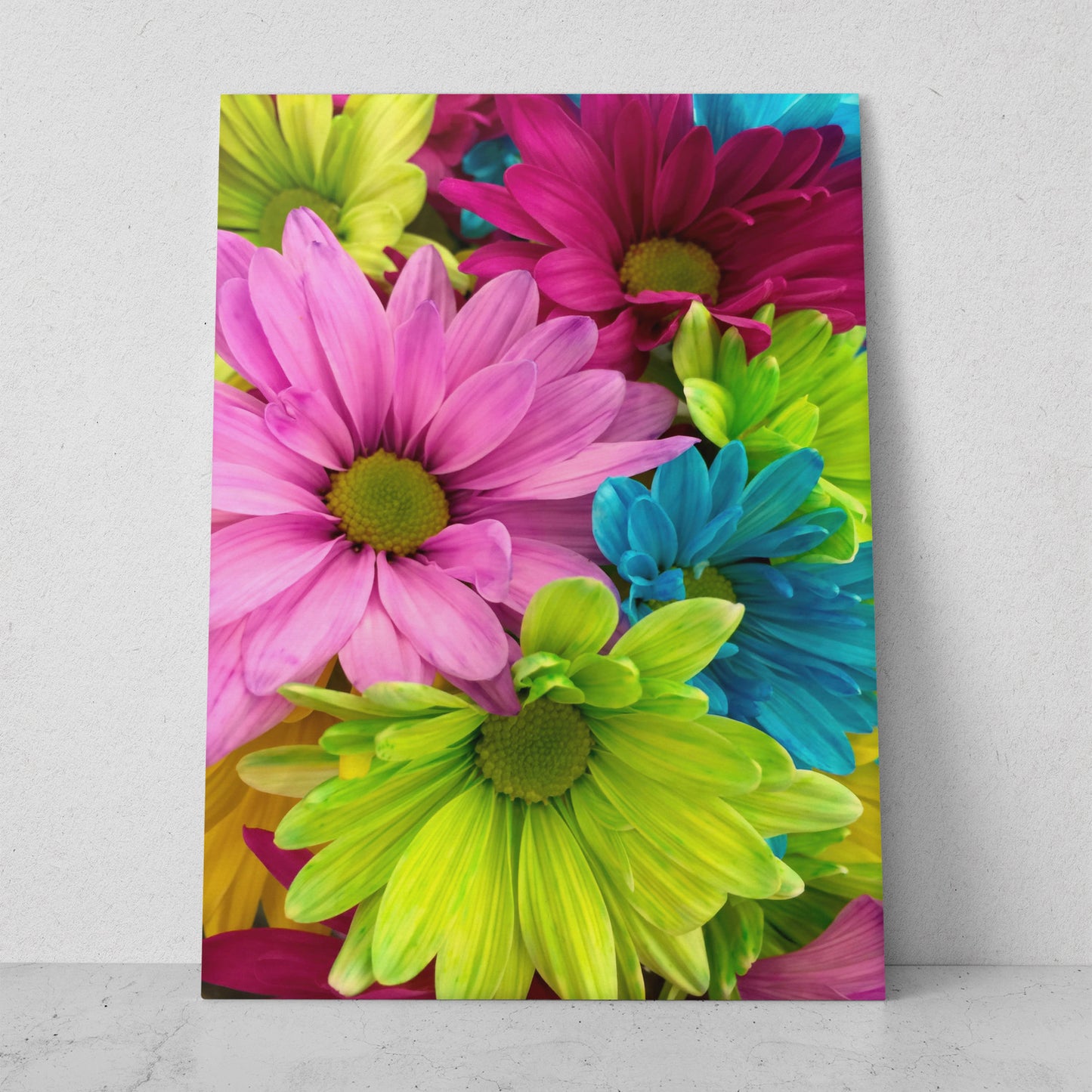 Geberas de colores (Vertical) #FP_013