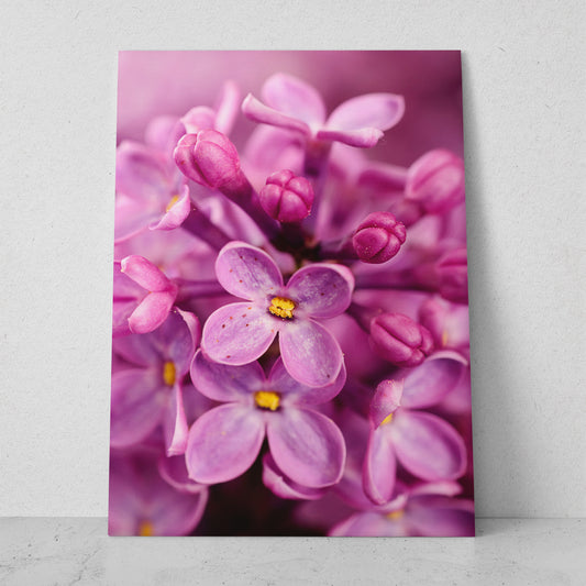 Flor de orquídea rosa (Vertical) #FP_015