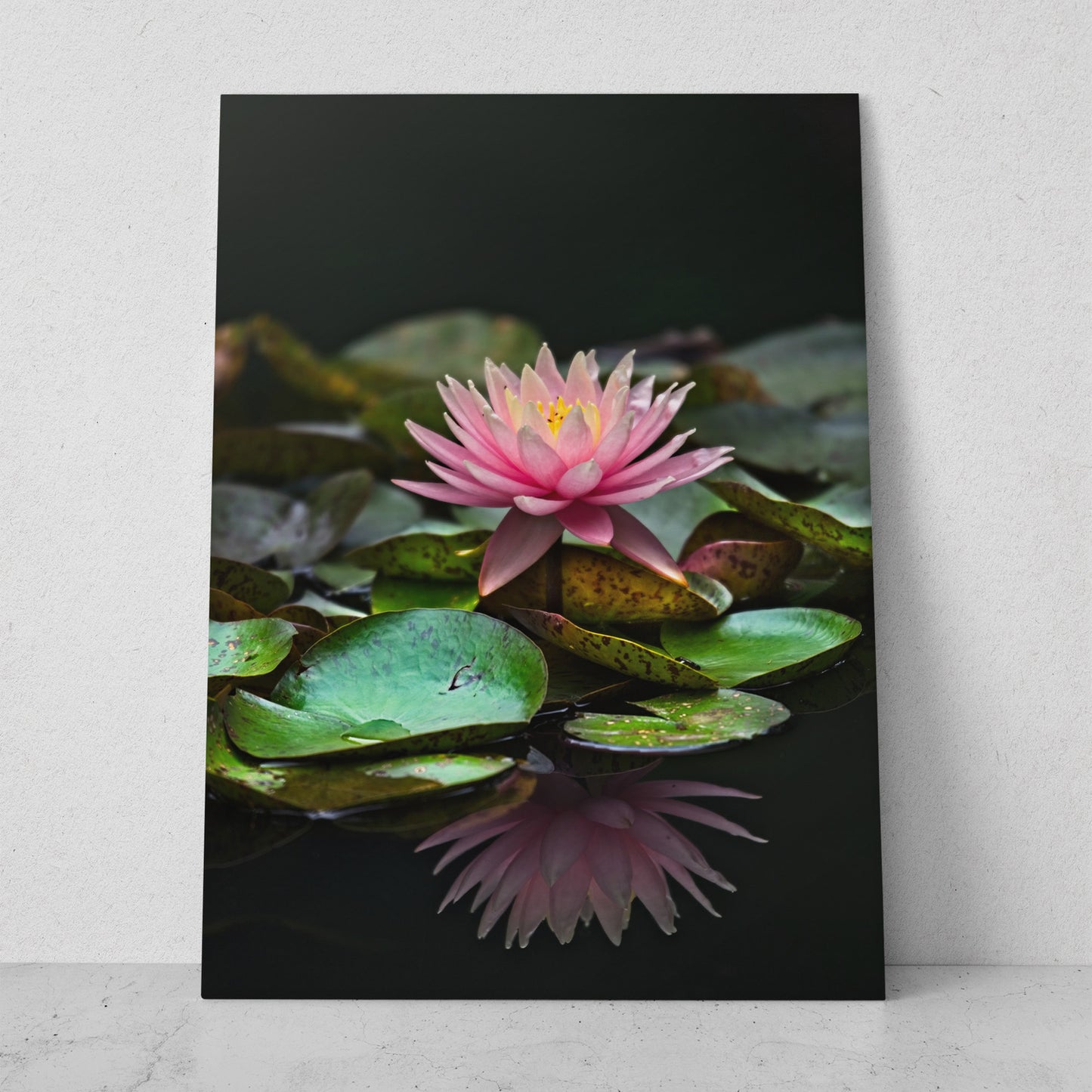 Flor de loto acuática (Vertical) #FP_020