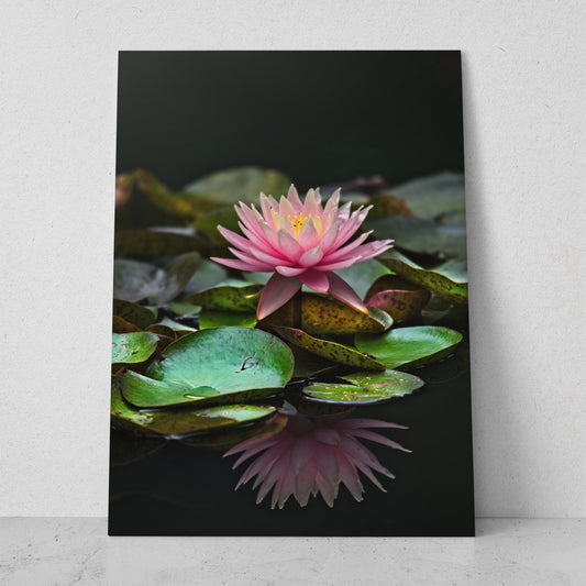 Flor de loto acuática (Vertical) #FP_020