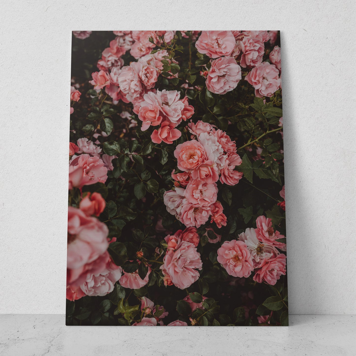 Peoinas rosas (Vertical) #FP_027