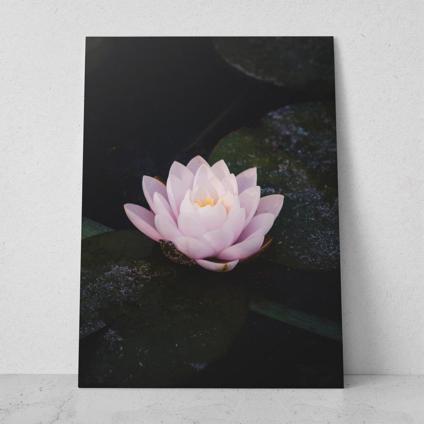 Flor de loto rosa (Vertical) #FP_040