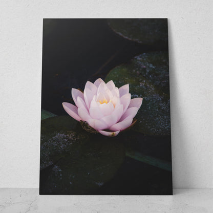 Flor de loto rosa (Vertical) #FP_040