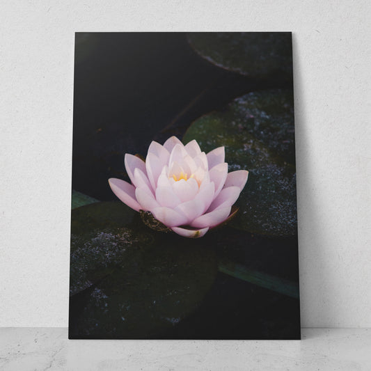 Flor de loto rosa (Vertical) #FP_040