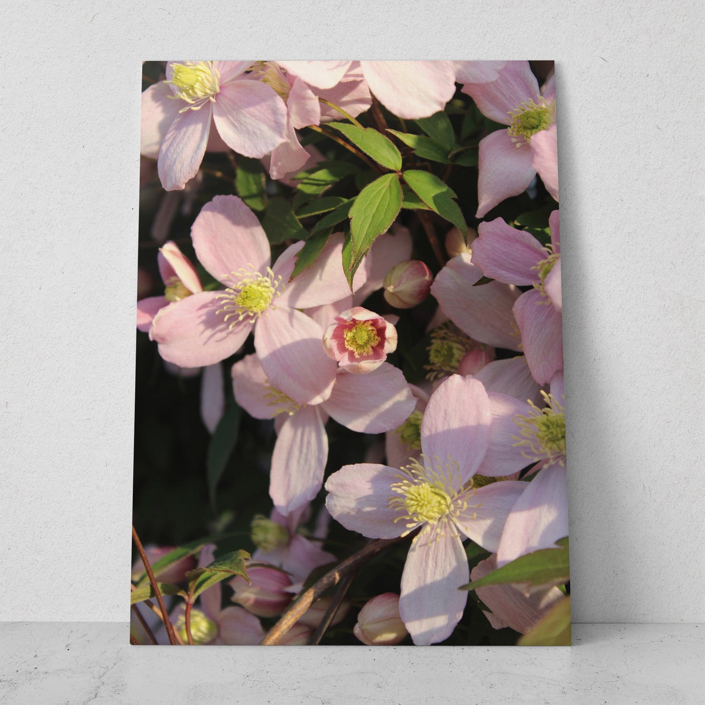 Flores rosas con el sol (Vertical) #FP_055