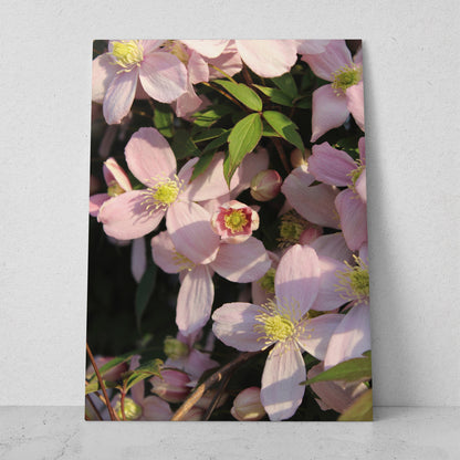 Flores rosas con el sol (Vertical) #FP_055