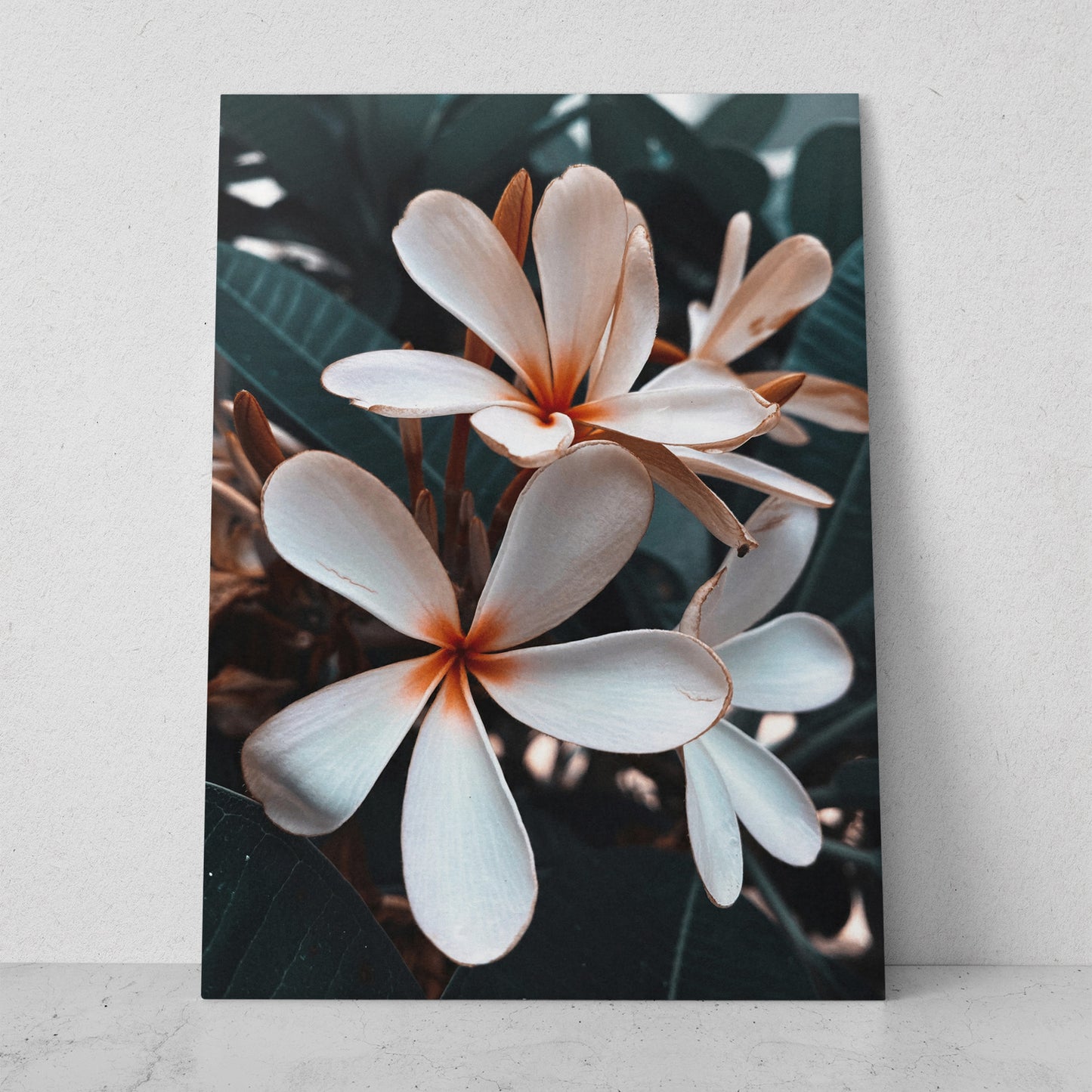 Flor de Plumeria (Vertical) #FP_069