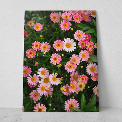 Margaritas de colores (Vertical) #FP_099