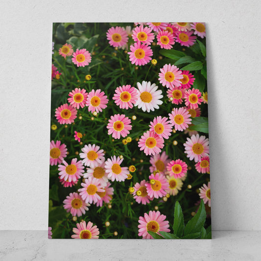 Margaritas de colores (Vertical) #FP_099