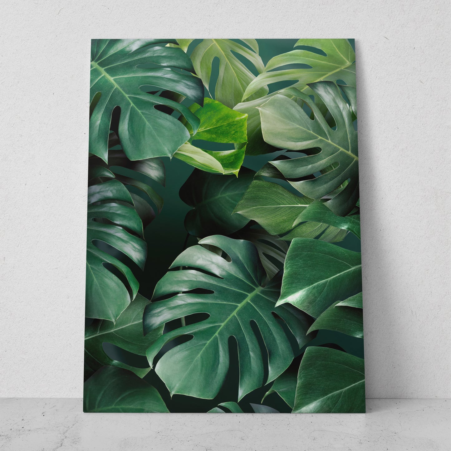 Hojas costilla de adan (Vertical) #FP_130