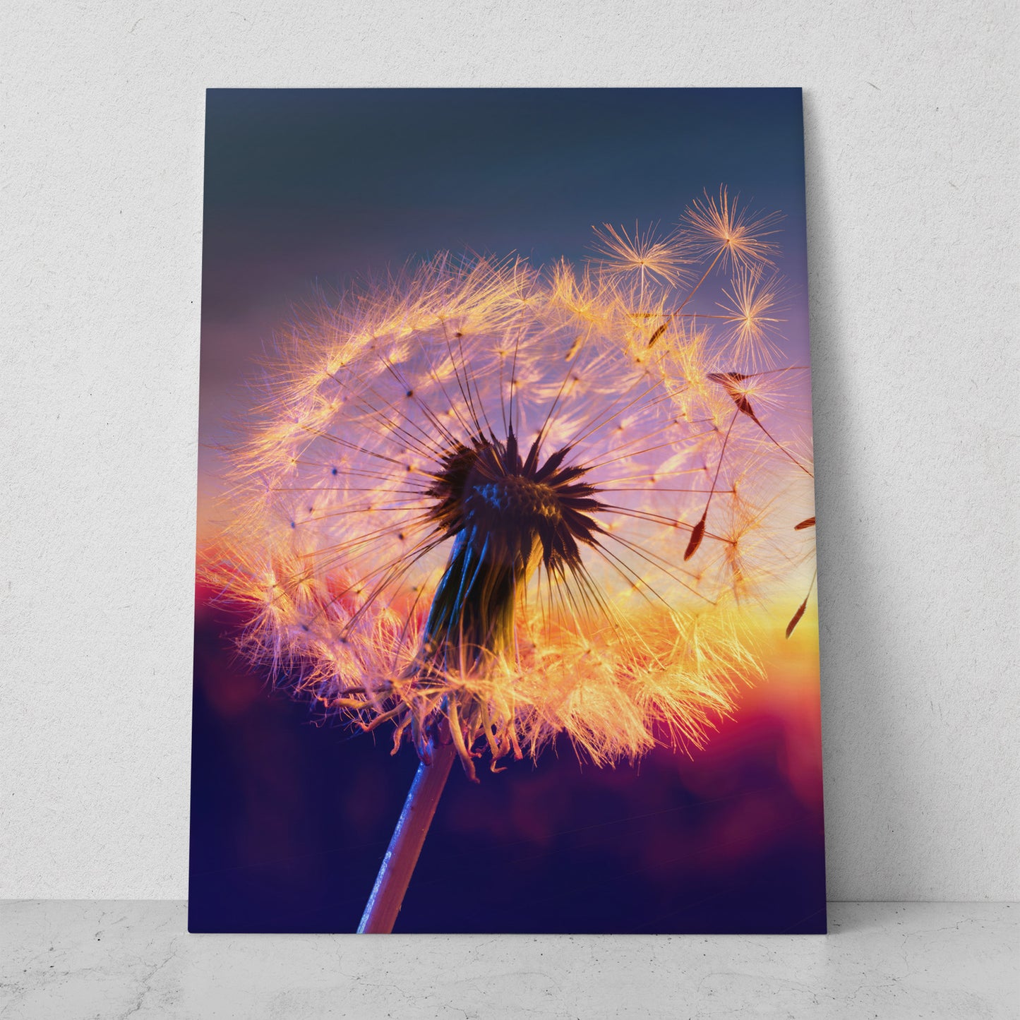 Diente de león al atardecer (Vertical) #FP_134