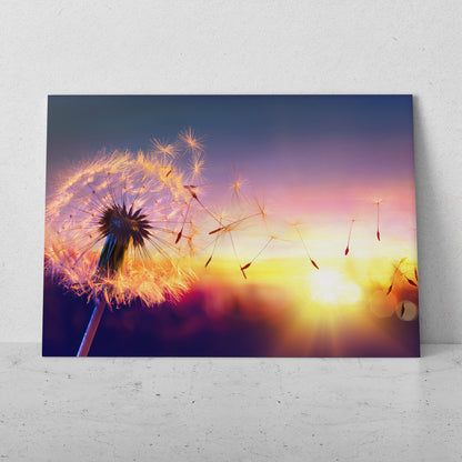 Dientes de león al atardecer (Horizontal) #FP_139