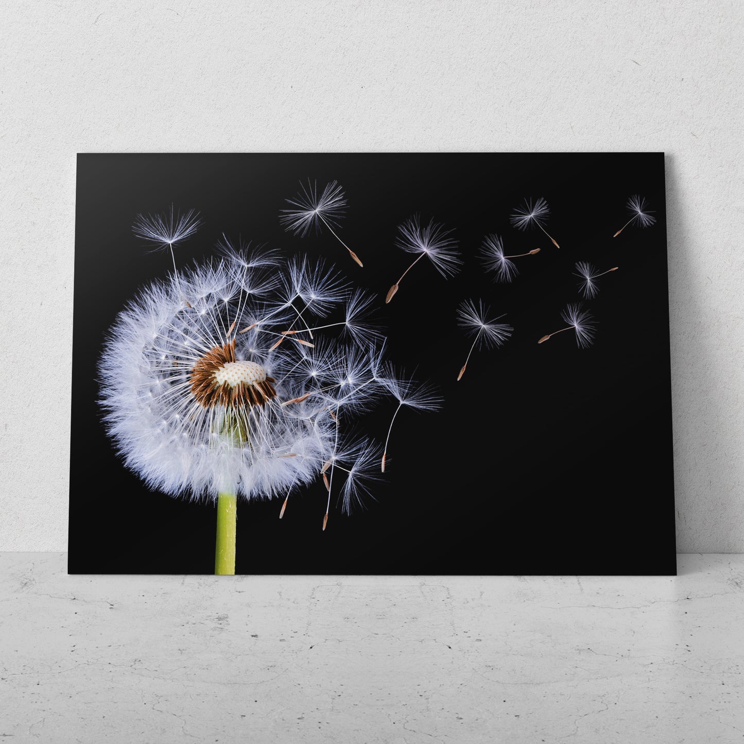 Dientes de león volando (Horizontal) #FP_140