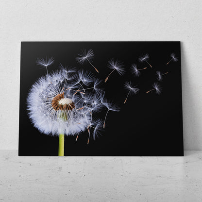 Dientes de león volando (Horizontal) #FP_140