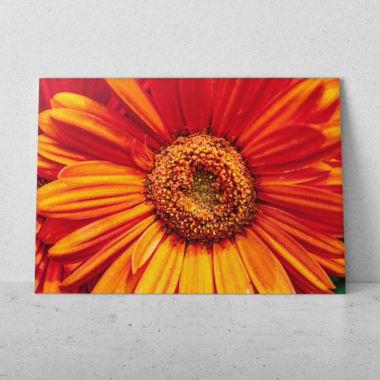 Centro de gerbera (Horizontal) #FP_157