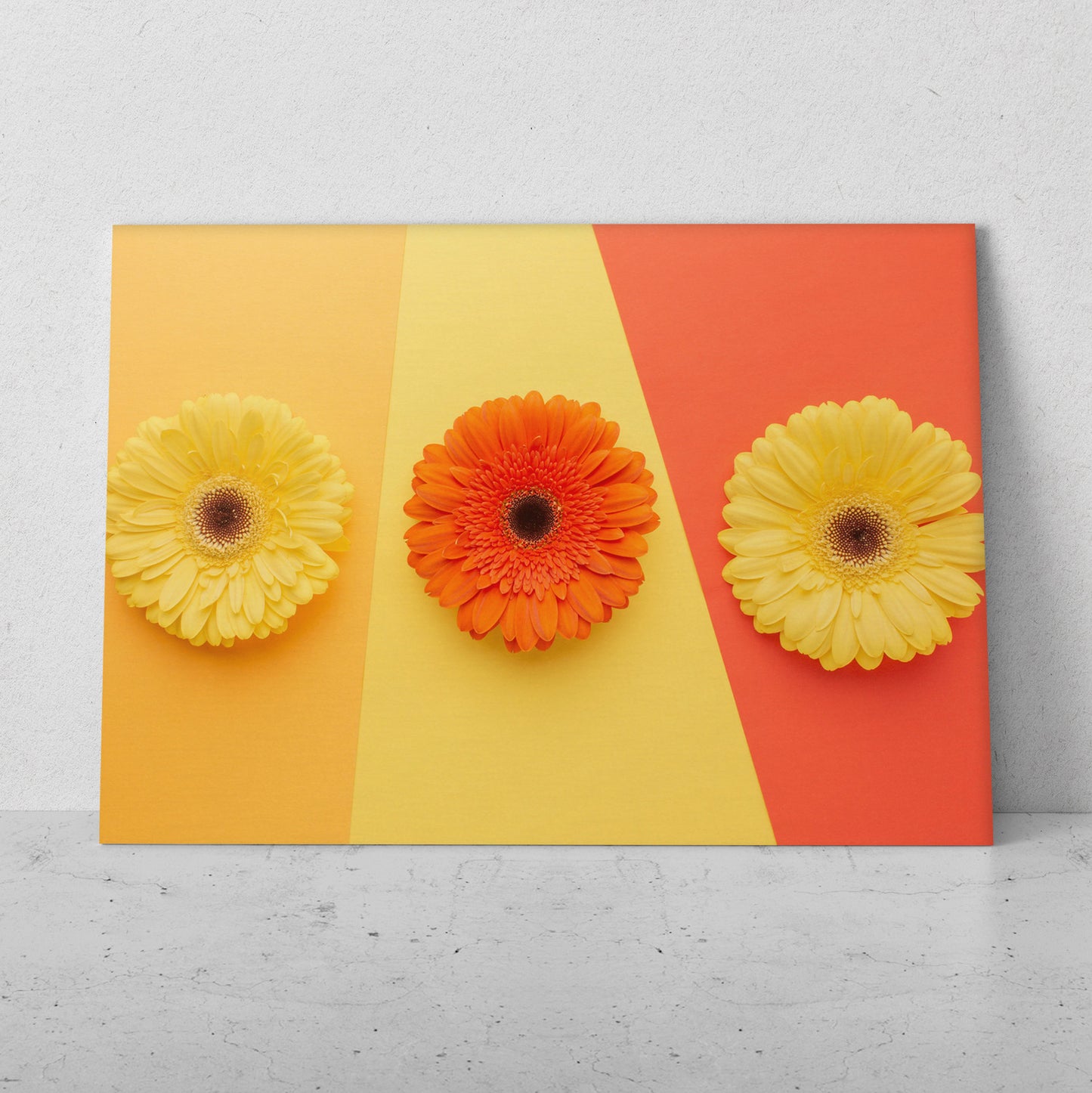 Gerberas de colores naranja y amarillo (Horizontal) #FP_160