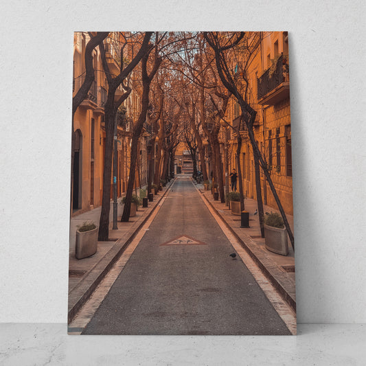 Calles de Barcelona (Vertical) #PN03_011