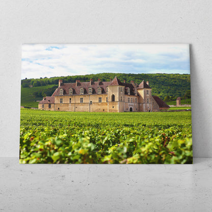 Viñedo en Borgoña, Francia (Horizontal) #PN04_40