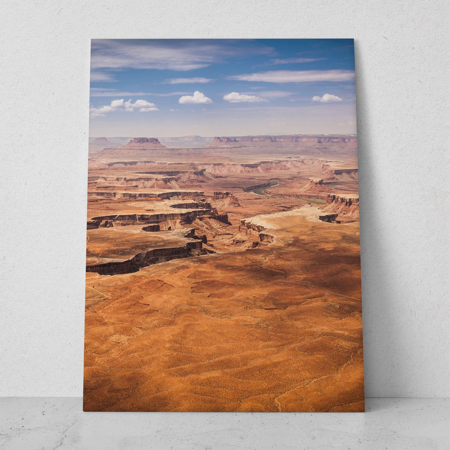 Paisaje desierto en Utah (Vertical) #PN05_10