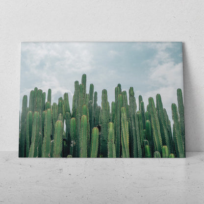 Paisaje desierto con cactus (Horizontal) #PN05_27