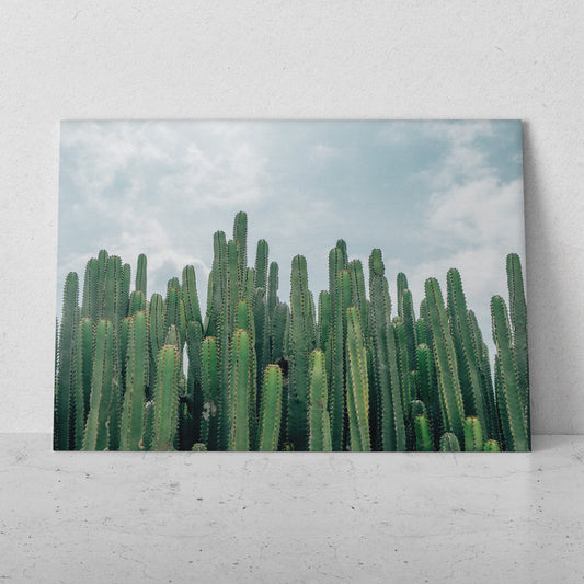 Paisaje desierto con cactus (Horizontal) #PN05_27