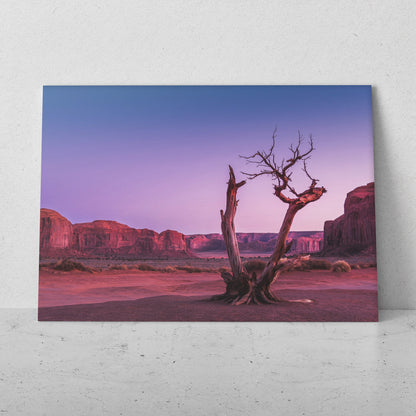 Paisaje desierto con árbol (Horizontal) #PN05_34