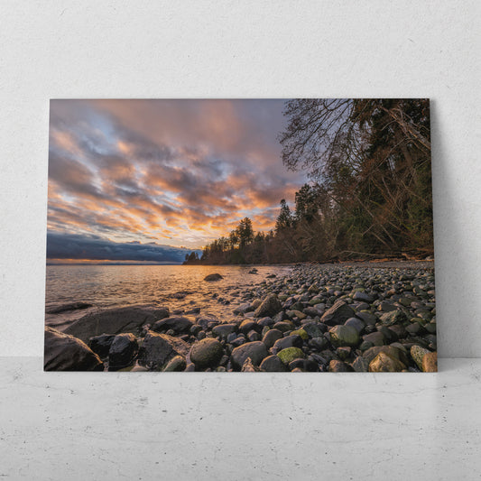 Atardecer en el mar y la vegetación (Horizontal) #PN07_040