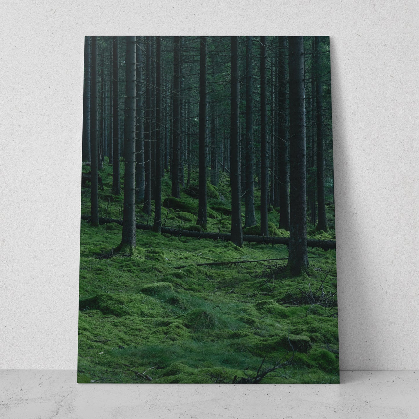 Bosque con árboles altos (Vertical) #PN09_02