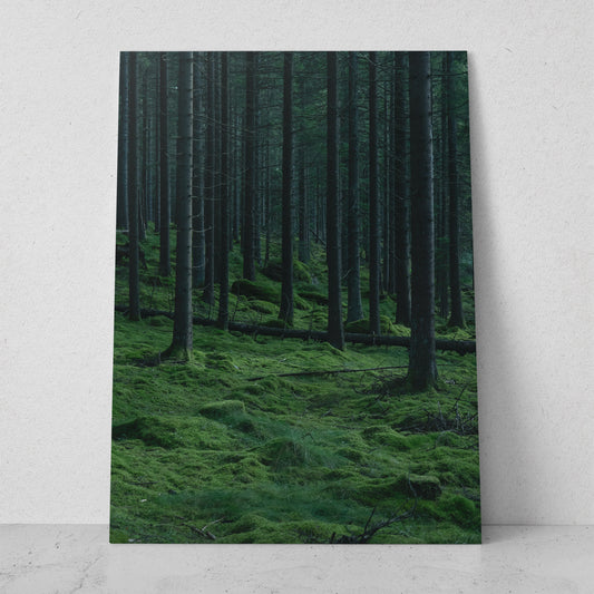 Bosque con árboles altos (Vertical) #PN09_02