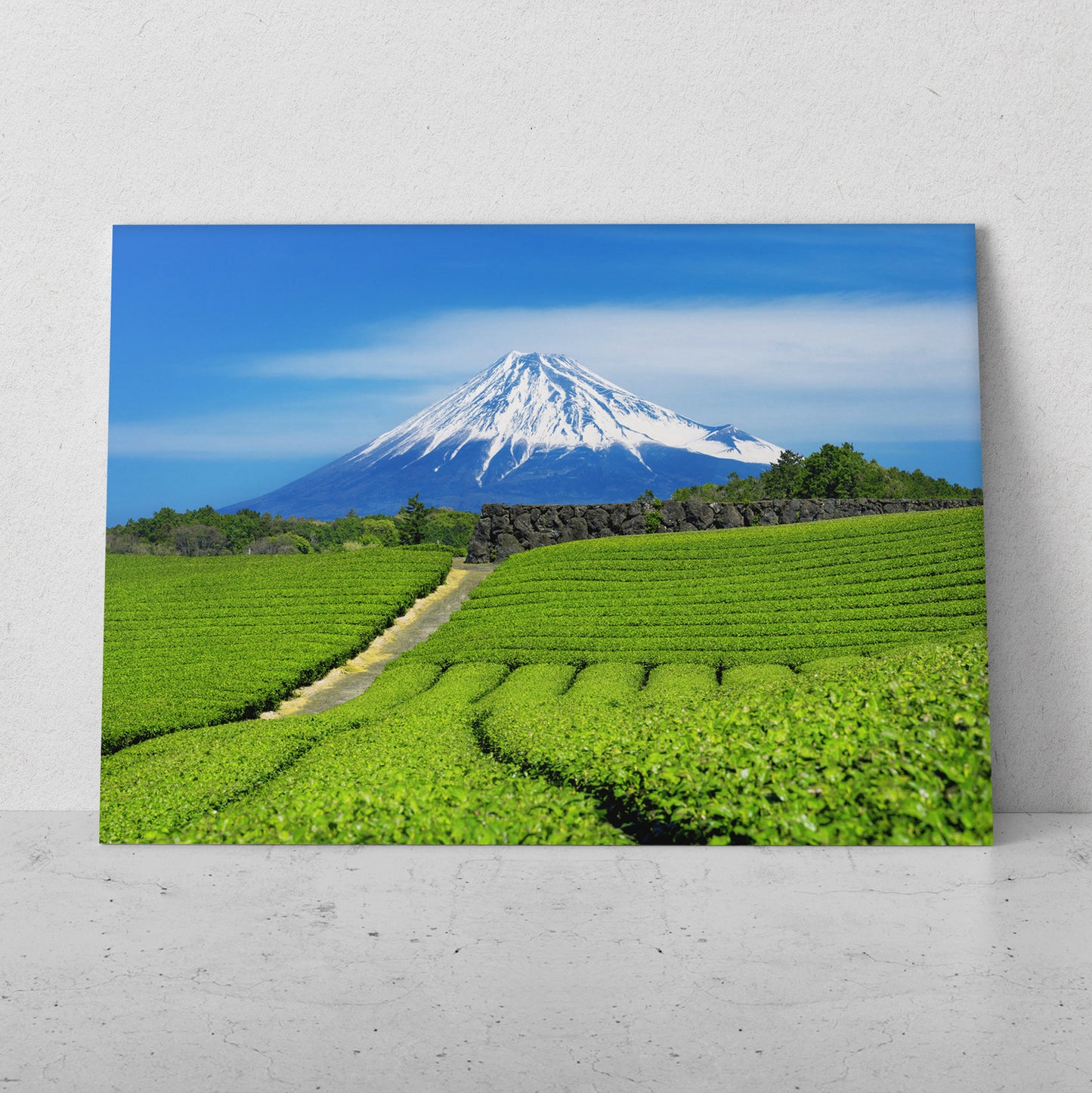 Paisaje con montaña nevada (Horizontal) #PN09_14