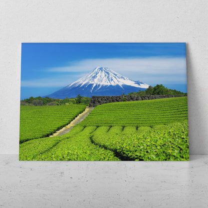 Paisaje con montaña nevada (Horizontal) #PN09_14