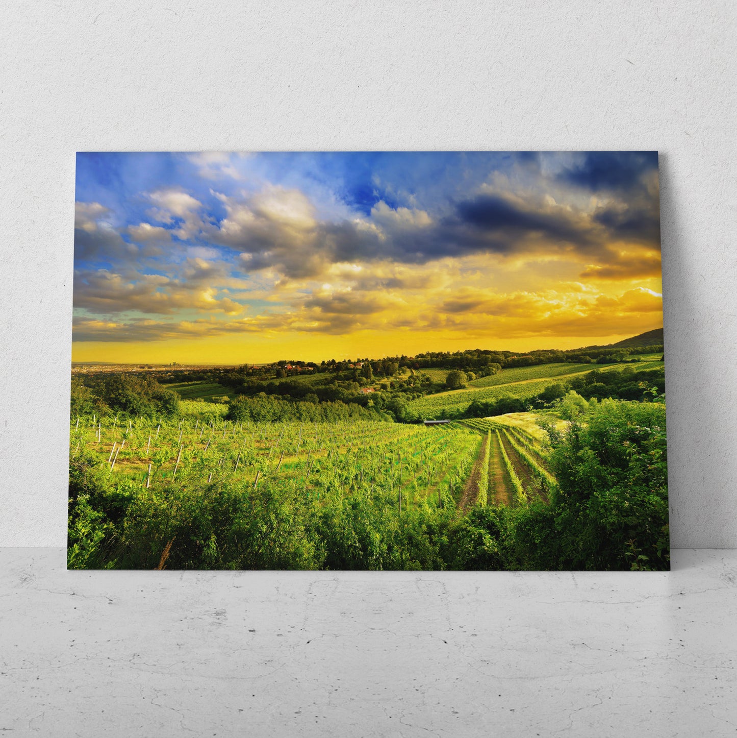 Paisaje de cultivo al atardecer (Horizontal) #PN09_24