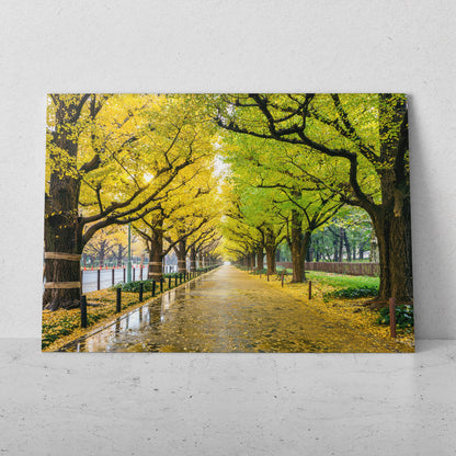 Camino en el parque (Horizontal) #PN09_32