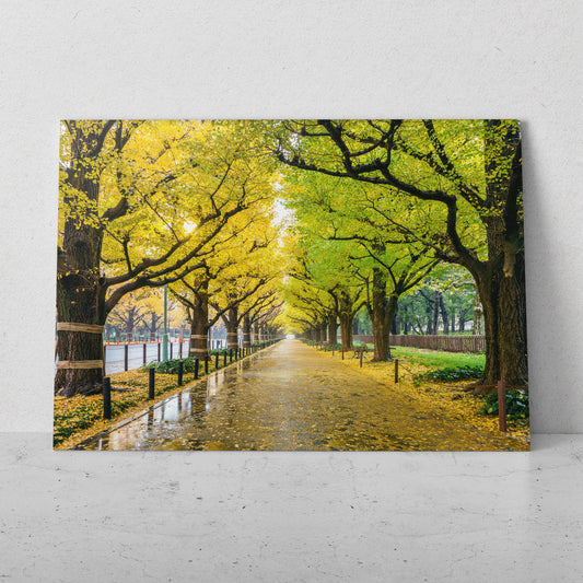 Camino en el parque (Horizontal) #PN09_32