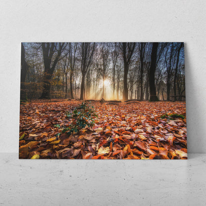 Otoño en el bosque (Horizontal) #PN09_92