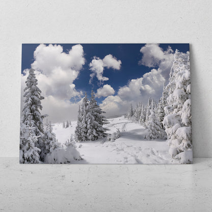 Huellas sobre la nieve (Horizontal) #PN10_28