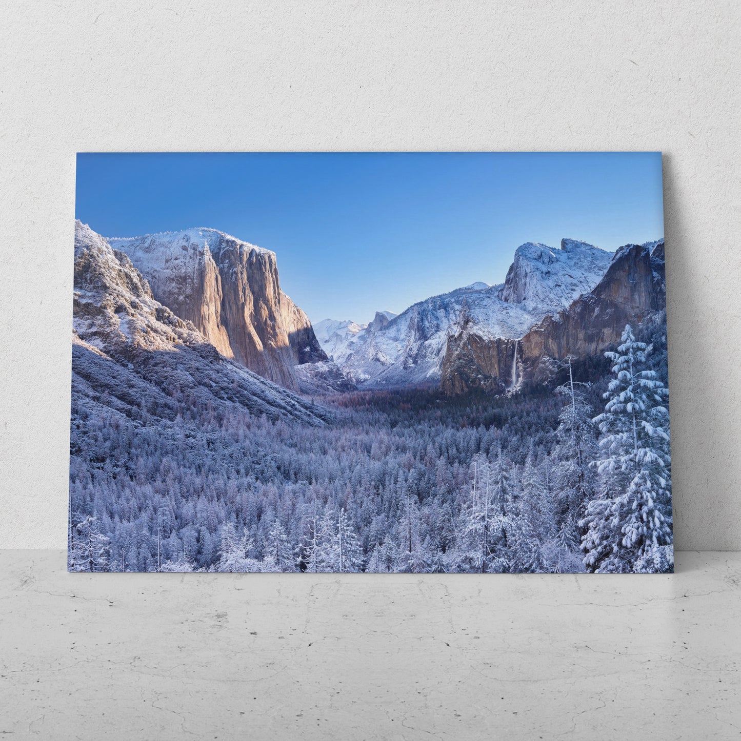 Bosque en el valle nevado (Horizontal) #PN10_54