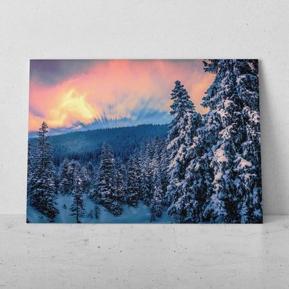 Atardecer en el bosque (Horizontal) #PN10_55