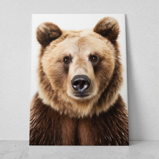 Oso - Fondo Blanco (Vertical)